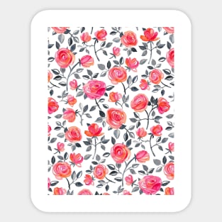 Roses on White - a watercolor floral pattern Sticker